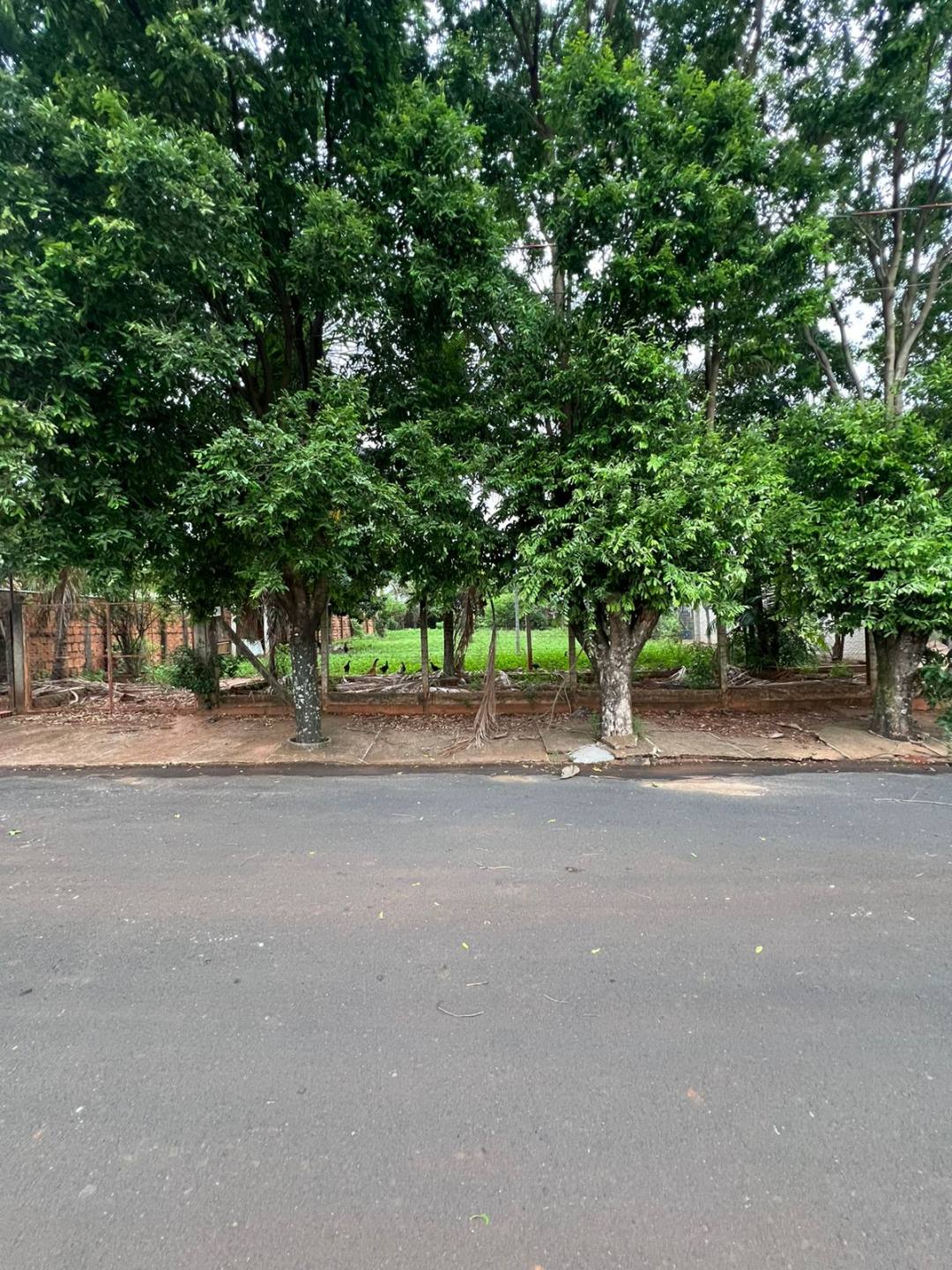 Terreno em Condomínio Fechado